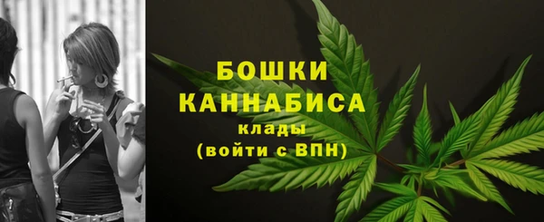 шишки Нефтекумск