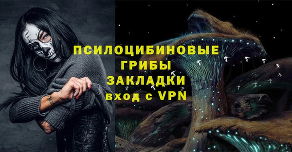 шишки Нефтекумск