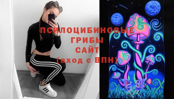 шишки Нефтекумск