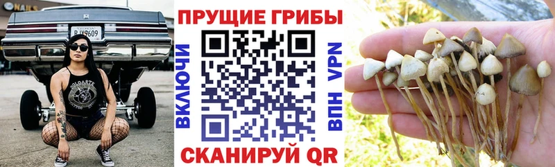 Галлюциногенные грибы ЛСД KRAKEN ссылки Краснослободск