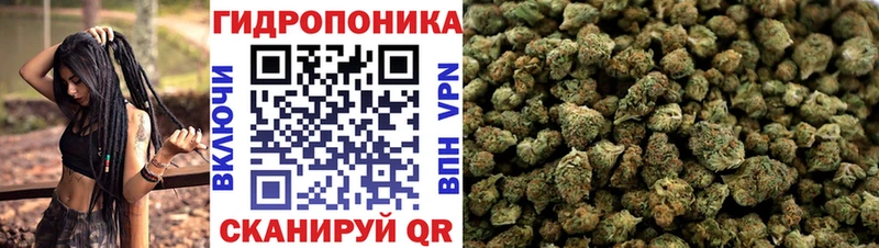 как найти закладки  Краснослободск  Шишки марихуана сатива 